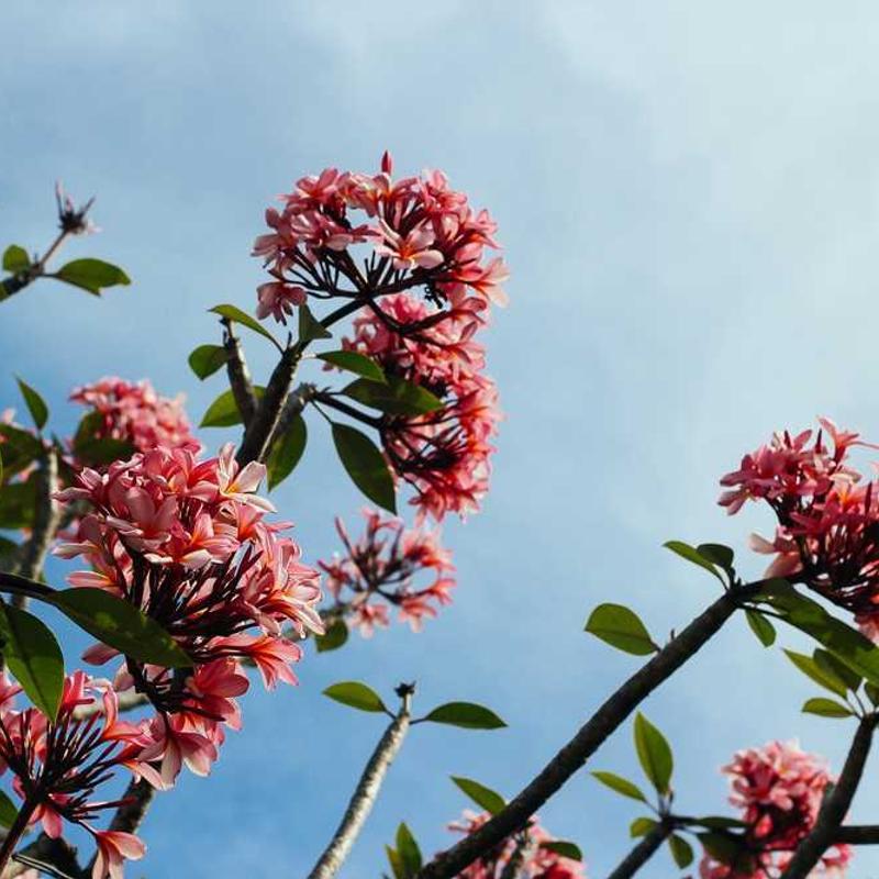 Bookshelf - 5 Tier - View 2