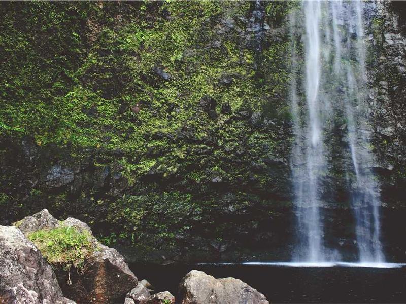 Shop for Rent - Bosaso - View 3