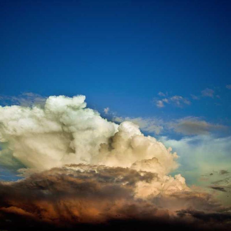 Dishwasher - Built-in